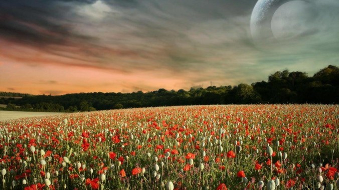 ***拍大尺度片子时摄影师不会看光吗？